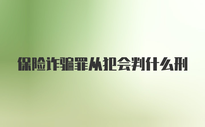 保险诈骗罪从犯会判什么刑