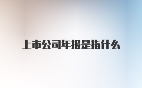 上市公司年报是指什么