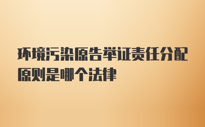 环境污染原告举证责任分配原则是哪个法律