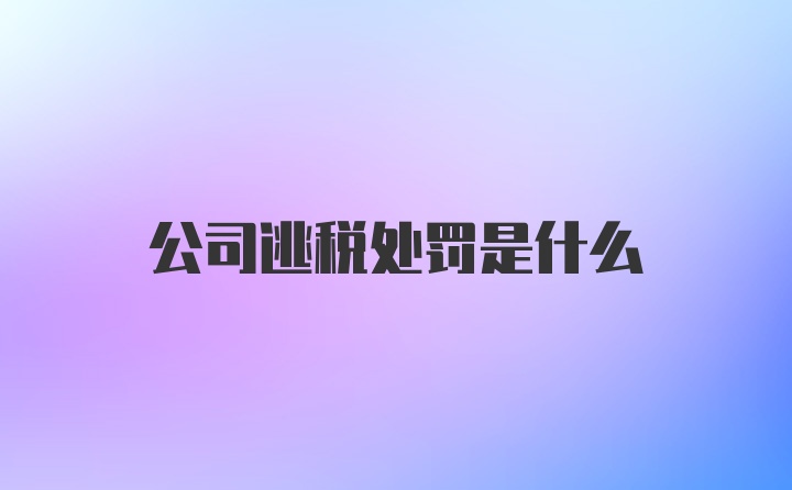 公司逃税处罚是什么