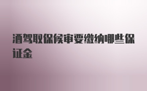 酒驾取保候审要缴纳哪些保证金