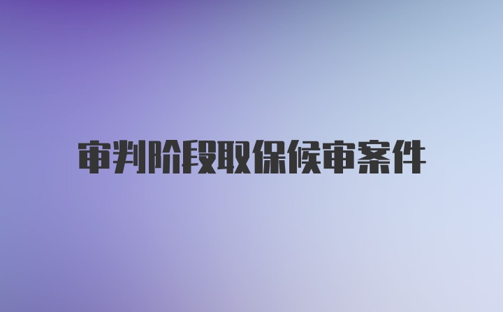 审判阶段取保候审案件