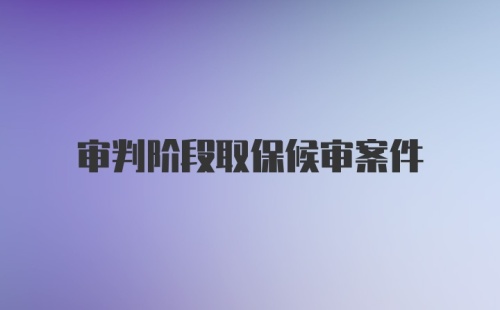 审判阶段取保候审案件