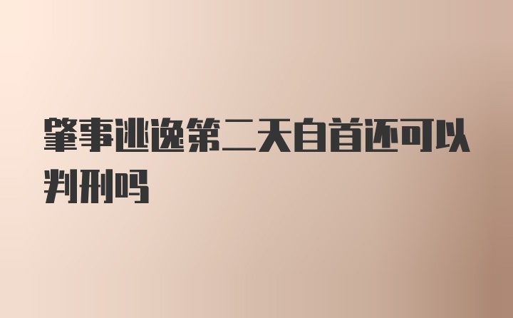 肇事逃逸第二天自首还可以判刑吗