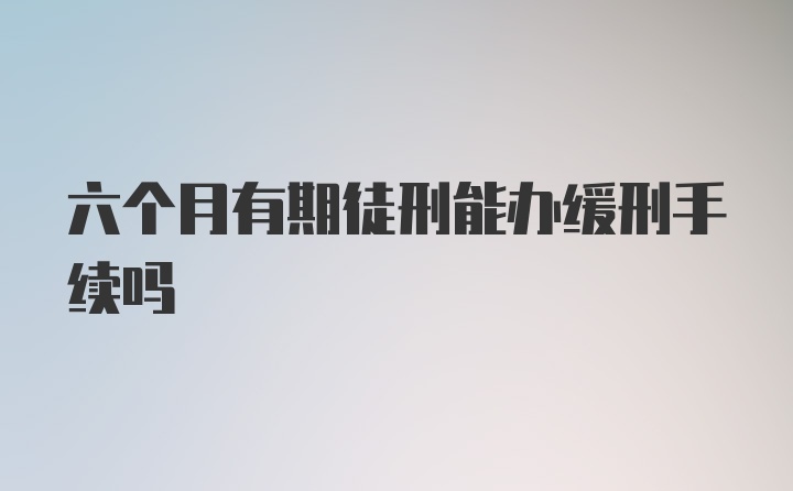 六个月有期徒刑能办缓刑手续吗