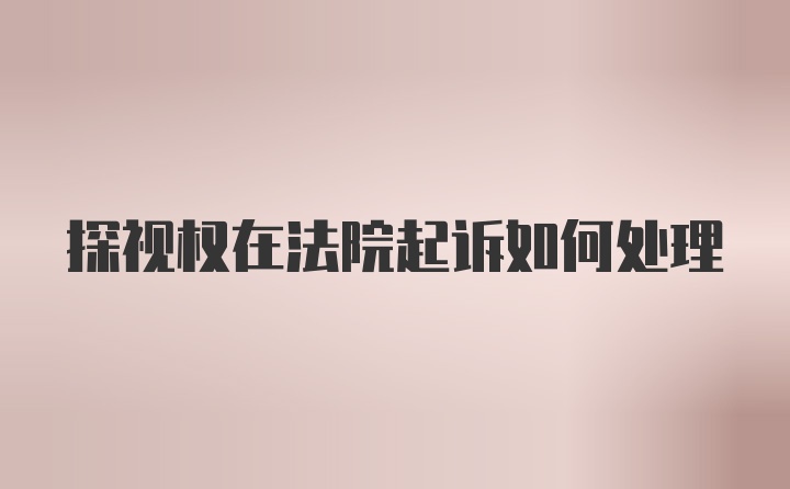 探视权在法院起诉如何处理