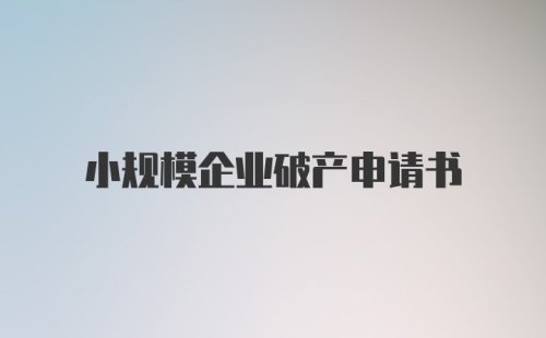 小规模企业破产申请书