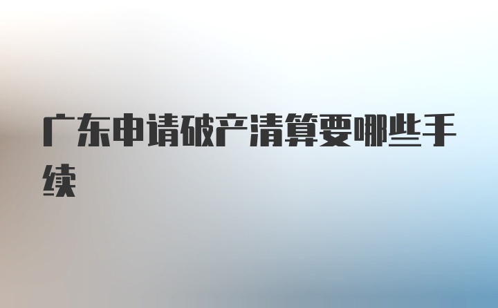 广东申请破产清算要哪些手续