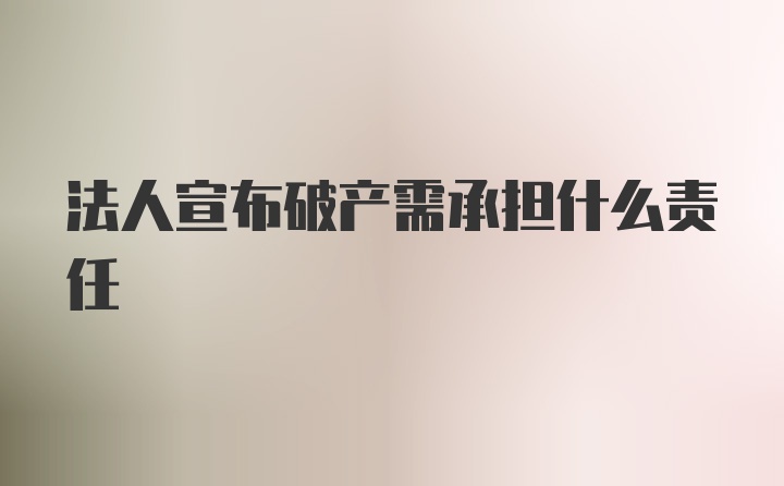 法人宣布破产需承担什么责任