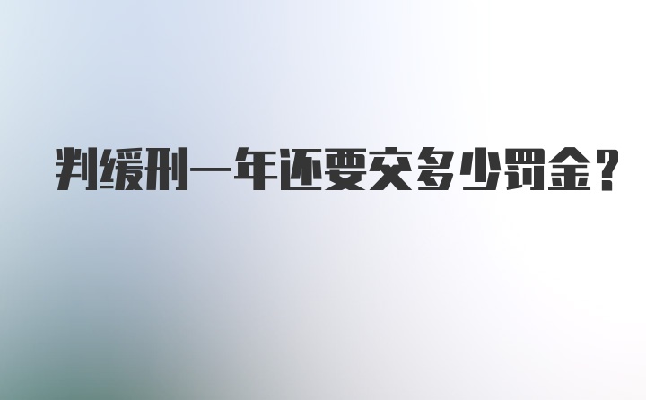 判缓刑一年还要交多少罚金？