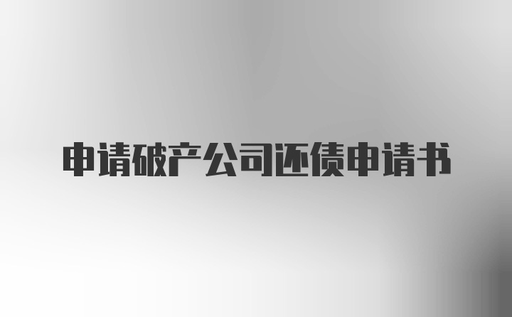 申请破产公司还债申请书