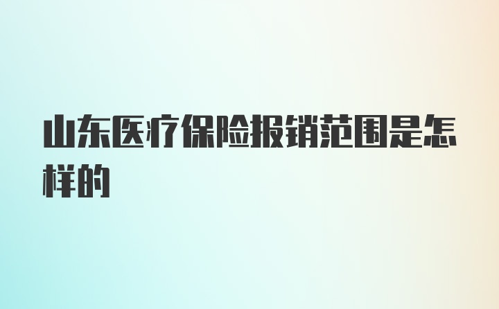 山东医疗保险报销范围是怎样的