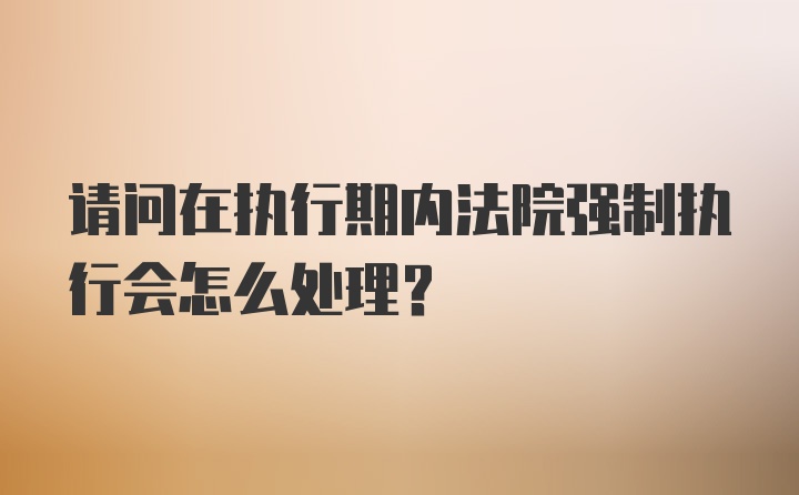 请问在执行期内法院强制执行会怎么处理？