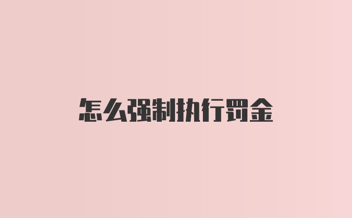 怎么强制执行罚金