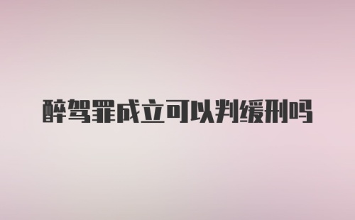 醉驾罪成立可以判缓刑吗