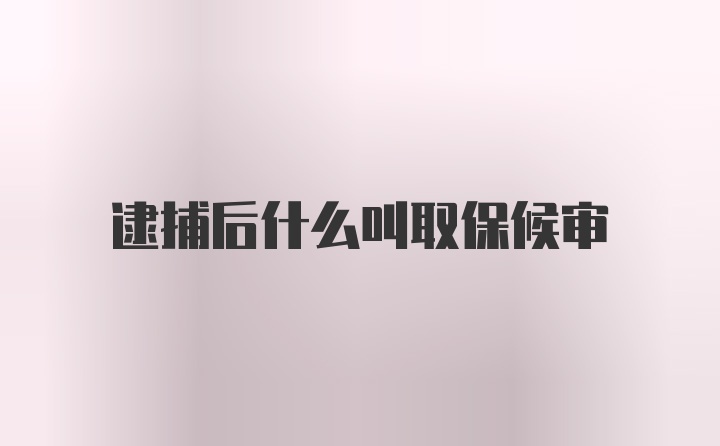 逮捕后什么叫取保候审