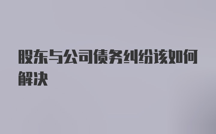 股东与公司债务纠纷该如何解决