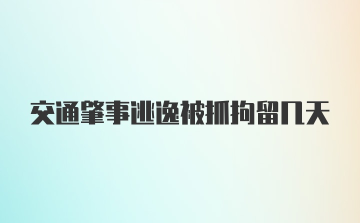 交通肇事逃逸被抓拘留几天