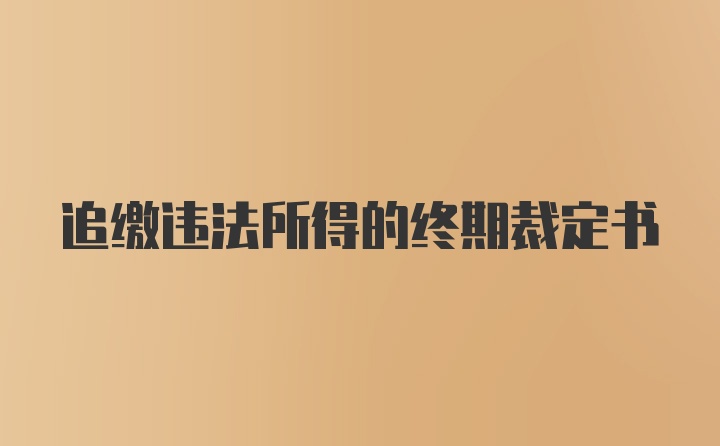 追缴违法所得的终期裁定书