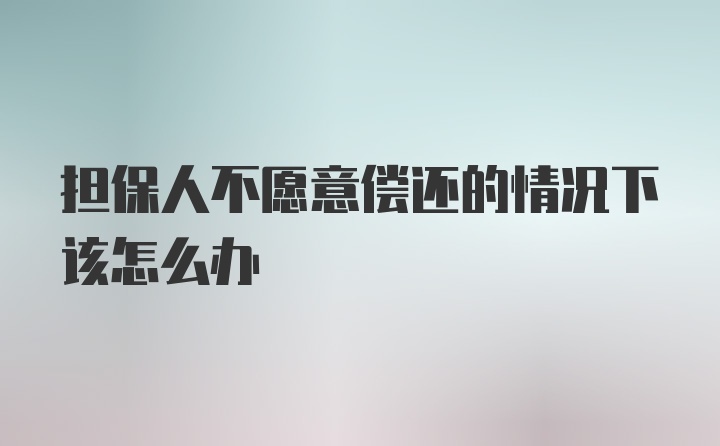 担保人不愿意偿还的情况下该怎么办