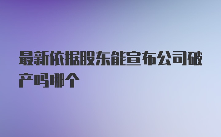 最新依据股东能宣布公司破产吗哪个