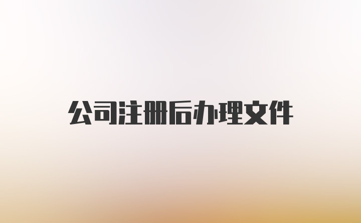 公司注册后办理文件