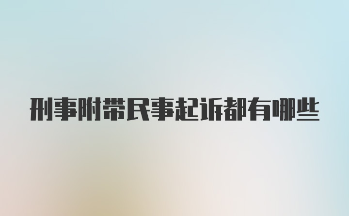 刑事附带民事起诉都有哪些