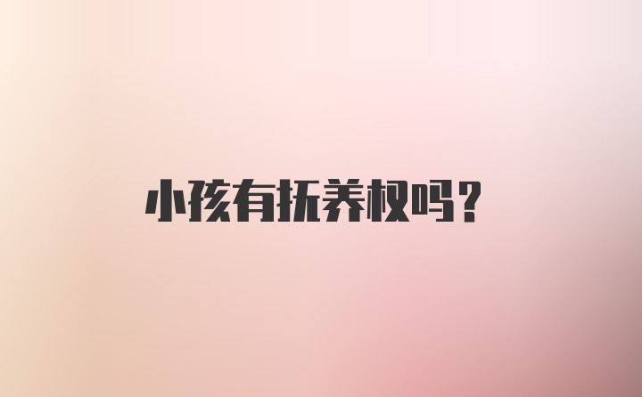 小孩有抚养权吗？