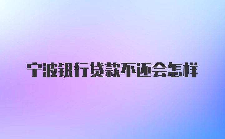 宁波银行贷款不还会怎样