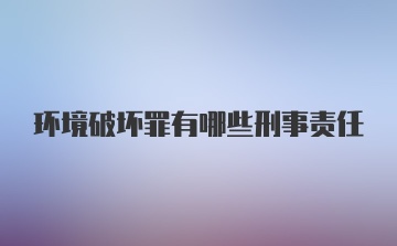 环境破坏罪有哪些刑事责任