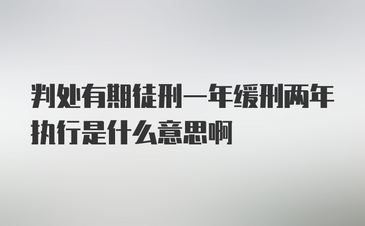 判处有期徒刑一年缓刑两年执行是什么意思啊