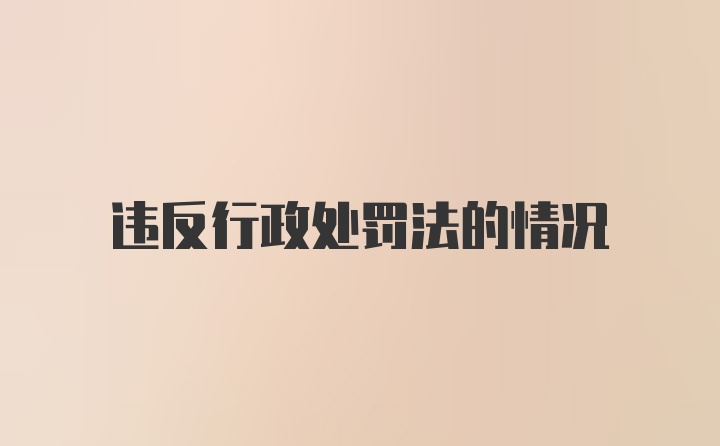 违反行政处罚法的情况