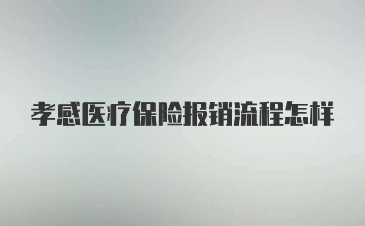 孝感医疗保险报销流程怎样