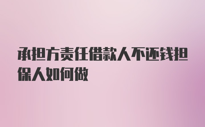 承担方责任借款人不还钱担保人如何做