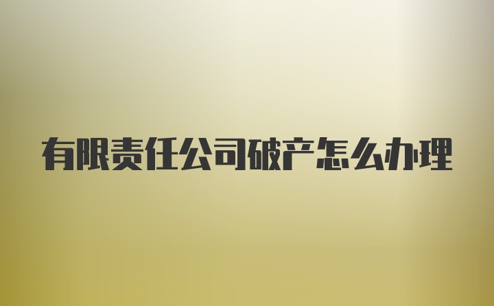 有限责任公司破产怎么办理