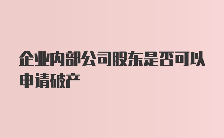 企业内部公司股东是否可以申请破产