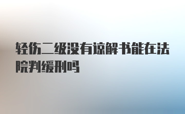 轻伤二级没有谅解书能在法院判缓刑吗