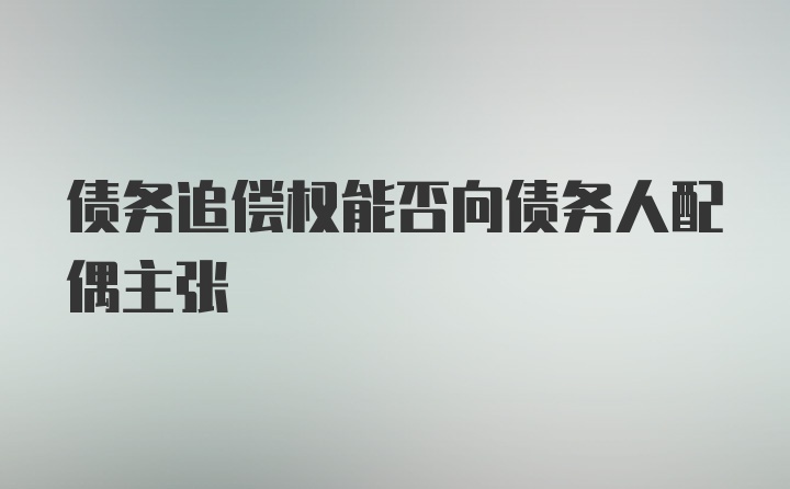 债务追偿权能否向债务人配偶主张