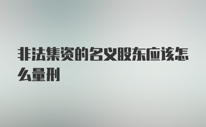 非法集资的名义股东应该怎么量刑