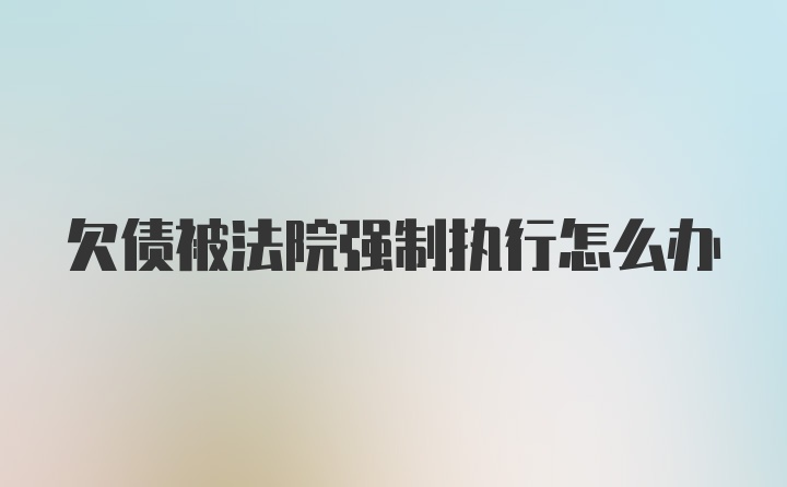 欠债被法院强制执行怎么办