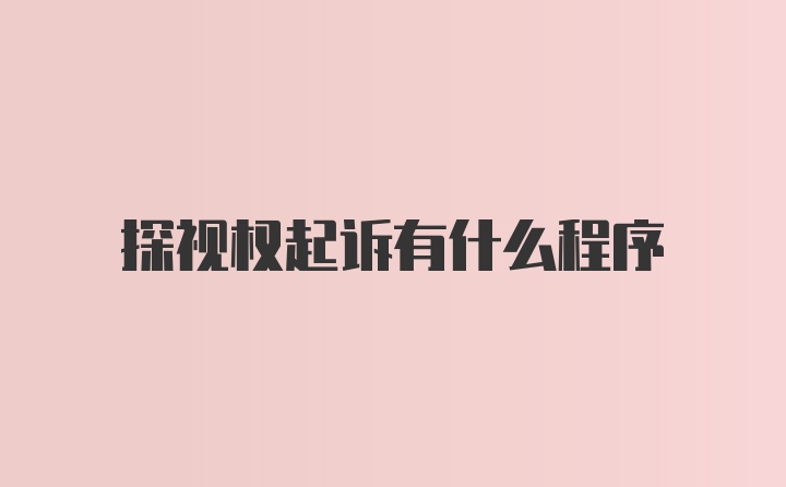 探视权起诉有什么程序