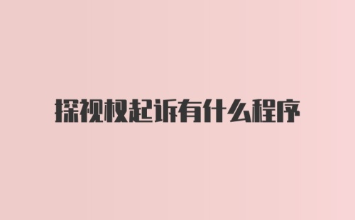 探视权起诉有什么程序