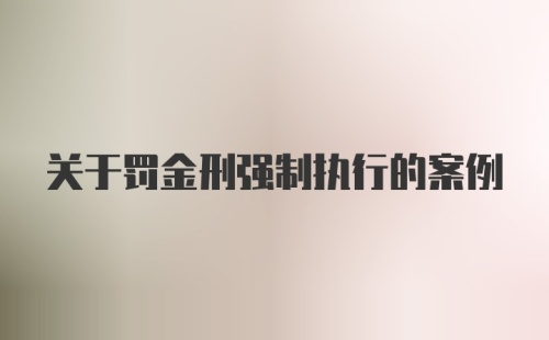 关于罚金刑强制执行的案例