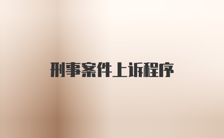 刑事案件上诉程序