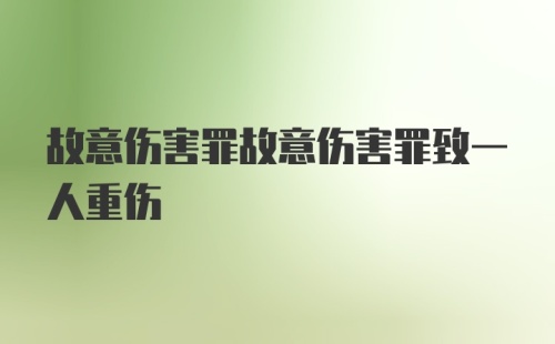 故意伤害罪故意伤害罪致一人重伤