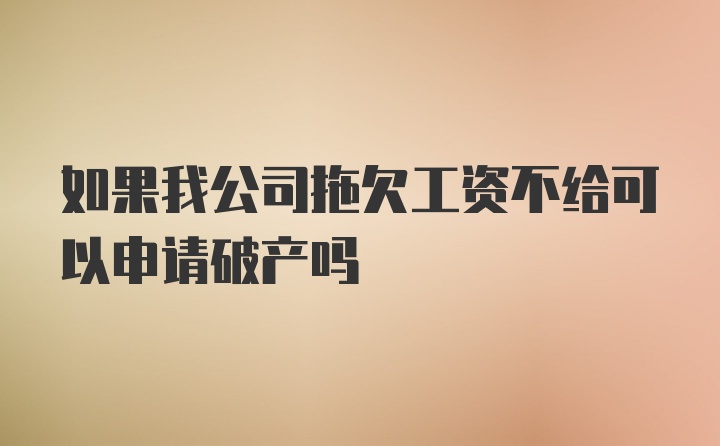 如果我公司拖欠工资不给可以申请破产吗