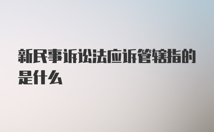 新民事诉讼法应诉管辖指的是什么