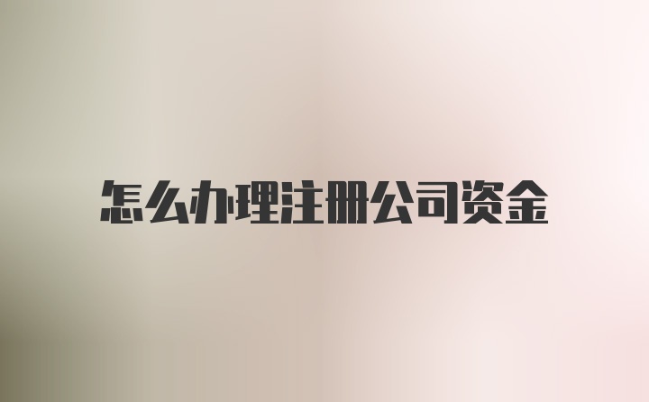 怎么办理注册公司资金