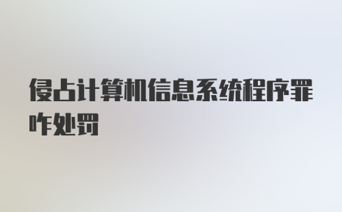 侵占计算机信息系统程序罪咋处罚