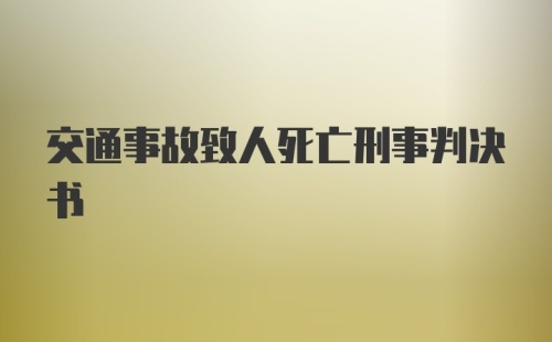 交通事故致人死亡刑事判决书